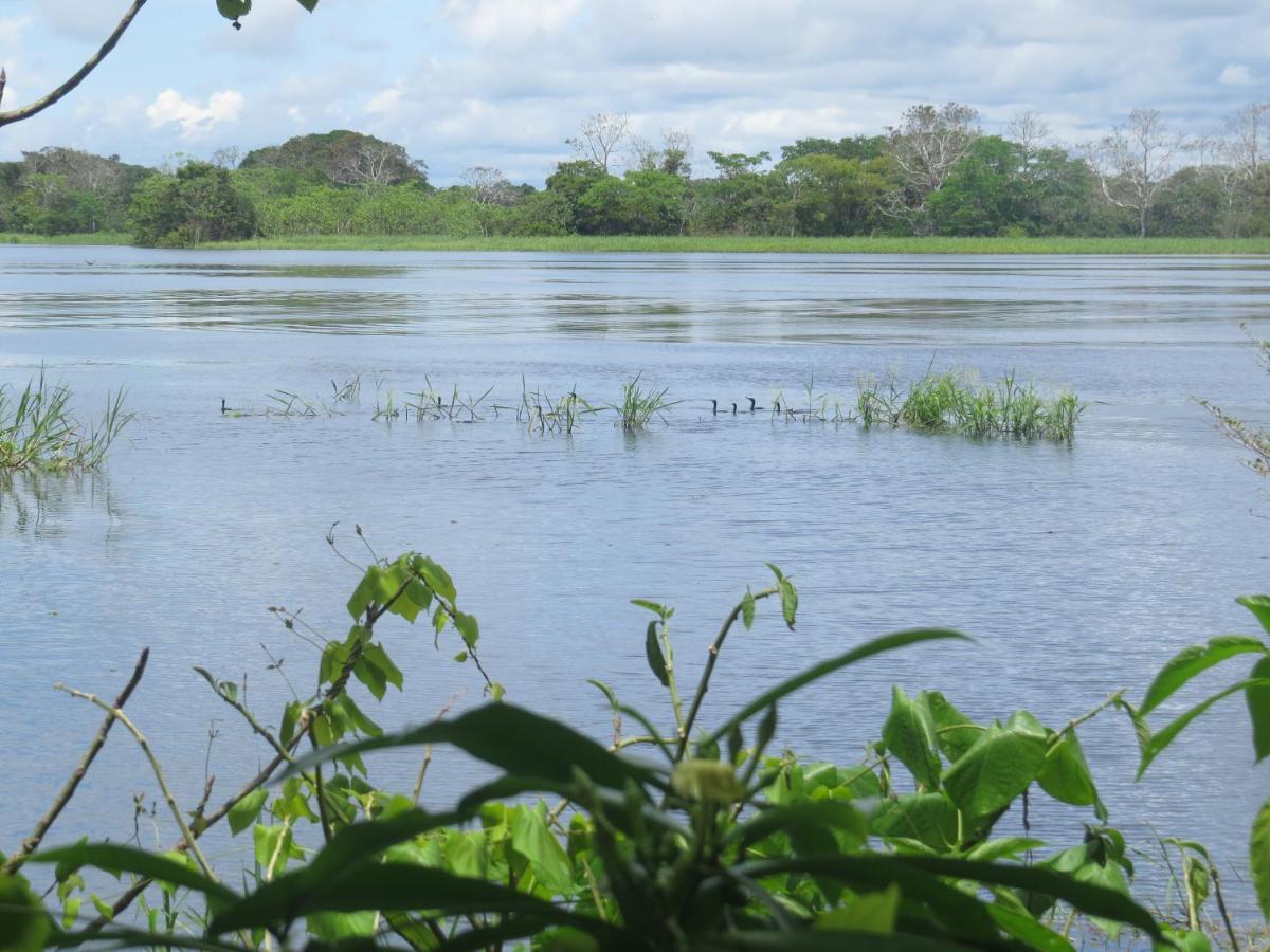 Eware Refugio Amazonico Hotel Puerto Narino Luaran gambar