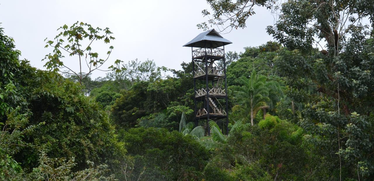 Eware Refugio Amazonico Hotel Puerto Narino Luaran gambar