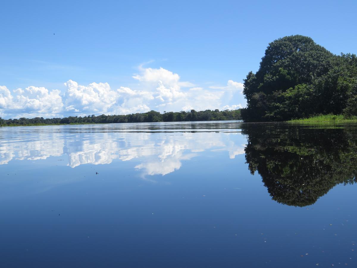 Eware Refugio Amazonico Hotel Puerto Narino Luaran gambar